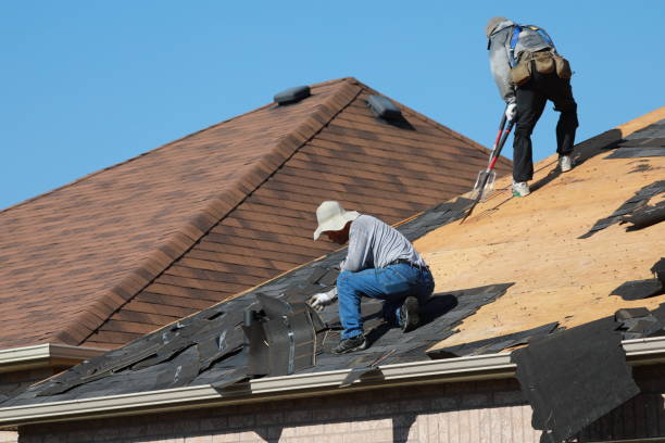 Best Rubber Roofing (EPDM, TPO)  in Williamstown, PA